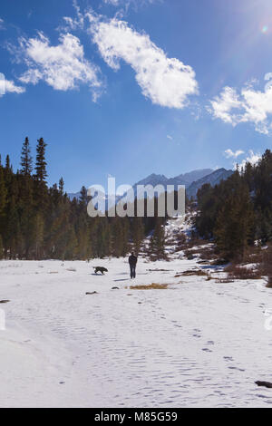 Woman walking her dog in the snow with trees and mountains in the background with blue sky and white clouds in the Sierra Nevada mountains California Stock Photo
