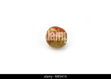 Jujube fruit, Chinese date centered and isolated on white background Stock Photo