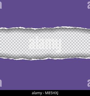 Violet Ripped Paper Realistic vector violet ripped paper with space for your text, isolated ...