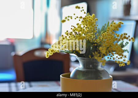 Mimosa in glass vase at the table Stock Photo