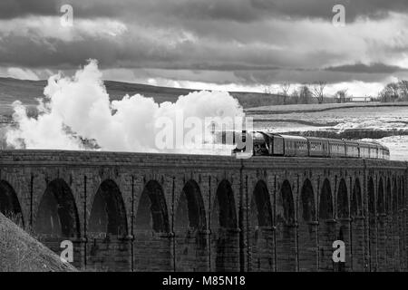 Puffing steam cloud, iconic locomotive LNER class A3 60103 Flying Scotsman, travels over arches of Ribblehead Viaduct - North Yorkshire, England, UK. Stock Photo