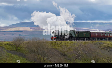 Puffing steam cloud, iconic locomotive LNER class A3 60103 Flying Scotsman travels in scenic countryside - Ribblehead, North Yorkshire, England, UK. Stock Photo