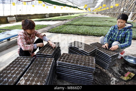 Beijing, China. 15th Mar, 2018. Farmers prepare vegetable seeds for greenhouse production in Daxing District of Beijing, capital of China, March 15, 2018. Credit: Li Xin/Xinhua/Alamy Live News Stock Photo