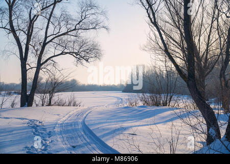 Trees in the frosty air on a snow-covered glade Stock Photo