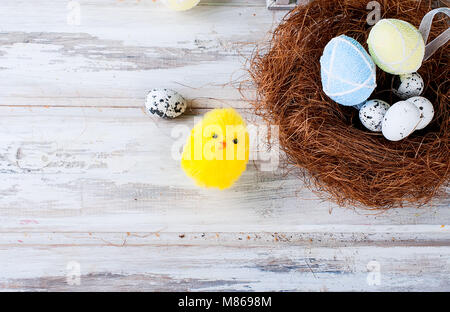 chick and Easter eggs in the nest. Easter holiday background. Space for text Stock Photo