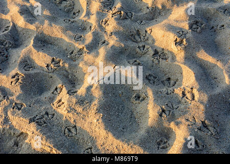 On this beach near the Ukrainian city of Odessa there are always many holidaymakers Stock Photo