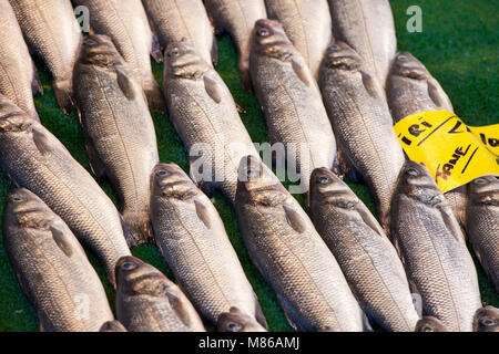 Fish for sale in a fish market, Kusadasi, Aydin province, Aegean region, Turkey, Asia Stock Photo