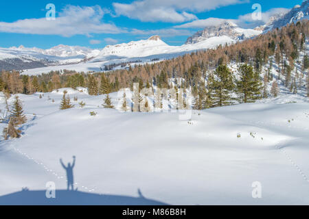 Hiker, person cheering after a long hike, reaching the top. Shadow on the snow. Celebration in the mountains. People and nature. Joyful person. Stock Photo