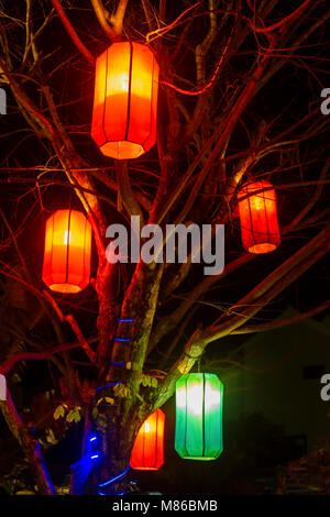 Colourful cloth lanterns lamp light shades hanging from a tree in Hoi An, Vietnam Stock Photo