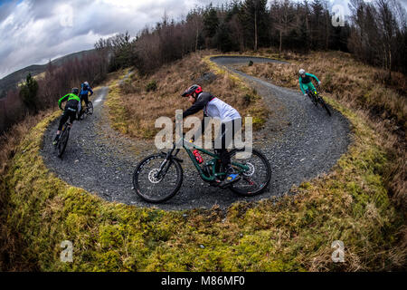 brenin bikes