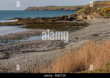 Pebble beach at Porth Trwyn, Anglesey, North Wales Stock Photo