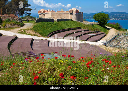 Corn poppy field (Papaver rhoeas) at Citadel of Saint-Tropez, gulf of Saint-Tropez, french riviera, South France, Cote d'Azur, France, Europe Stock Photo