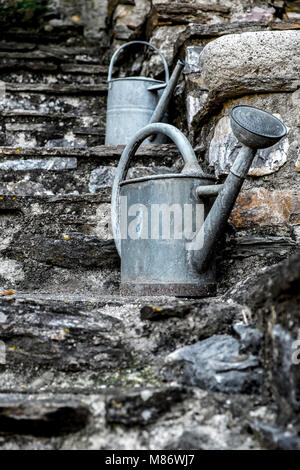 Two watering cans on steps, Languedoc, France Stock Photo