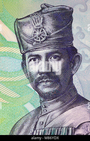 Hassanal Bolkiah portrait from Bruneian money Stock Photo