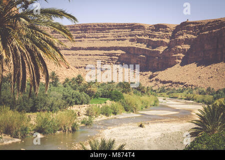 Wide view of canyon and cultivated fields and palms in Errachidia Valley Morocco North Africa Africa Stock Photo