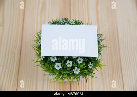 Blank business cards and little decorative tree in white vase on wooden working table with copy space for add text ID. and logo, business company conc Stock Photo