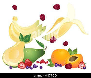 a vector illustration in eps 10 format of super fruits for healthy eating on a white background Stock Vector