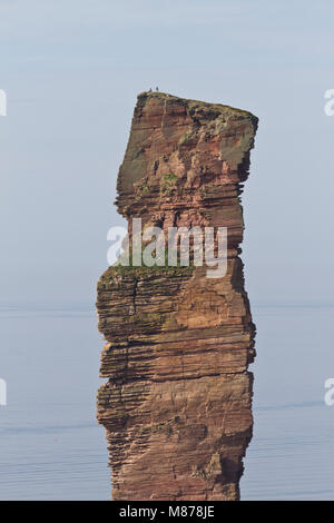 Two climbers on top Old Man of Hoy, Orkney Isles Stock Photo