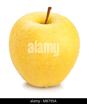 Isolated wet apples. Whole yellow (golden) apple fruit with half ...