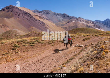 National Park of Aconcagua Stock Photo