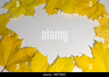 Empty white desktop with multicolored maple foliage frame around. Background with copy space, natural leaves decoration Stock Photo