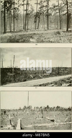 Economic botany of Alabama (1913-1928.) (21150355835) Stock Photo