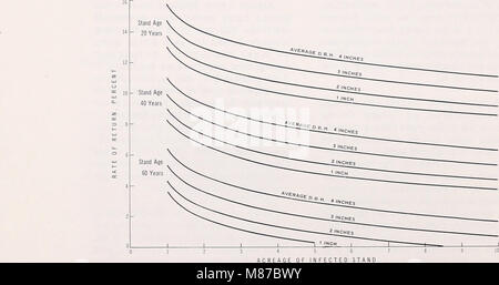 Economic guides for ponderosa pine dwarfmistletoe control in young stands of the Pacific Northwest (1966) (19952713393) Stock Photo