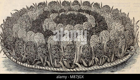 Dreer's autumn catalogue - 1896 bulbs, plants, seeds (1896) (20382064163) Stock Photo