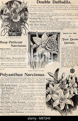 Dreer's autumn catalogue - 1896 bulbs, plants, seeds (1896) (20993280472) Stock Photo