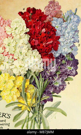 Dreer's garden book - seventy-fourth annual edition 1912 (1912) (14776363945) Stock Photo
