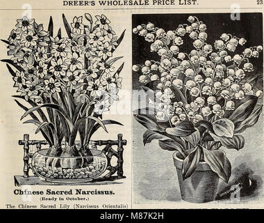 Dreer's quarterly wholesale price list of seeds, plants, bulbs, &c. - summer edition July 1895 August (1895) (20862791129) Stock Photo