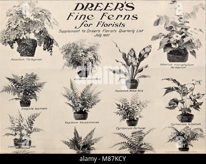 Dreer's wholesale price list 1907 - bulbs plants seasonable flower and vegetable seeds fertilizers, tools, etc., etc (1907) (14589988438) Stock Photo