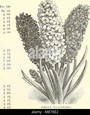 Dreer's wholesale price list summer edition 1902 July to August - seasonable flower and vegetable seeds, fertilizers, tools, etc., etc (1902) (21055404055) Stock Photo