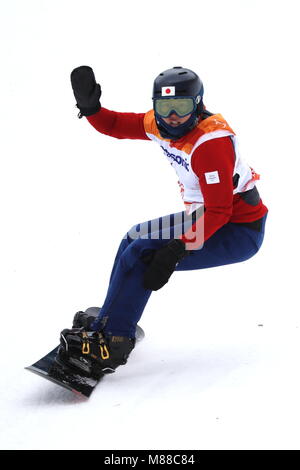 Radomir DUDAS of Slovakia follows the shouts of his guide in the Mens  Alpine Skiing Giant Slalom during the 2014 Winter Paralympic Games at the  Rosa K Stock Photo - Alamy