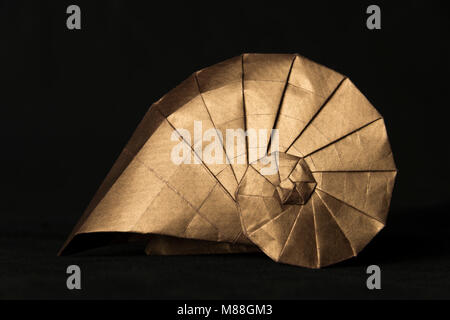 Origami paper seashell studio macro close up Stock Photo