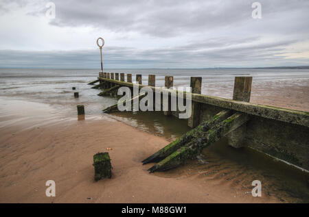 Old wood and stone groyne structure covered with green algae on Portobello beach in low tide with North sea in the backgroud shot on overcast day. Stock Photo