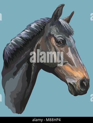 Colored portrait of black Trakehner horse. Horse head in profile isolated vector hand drawing illustration on blue background Stock Vector