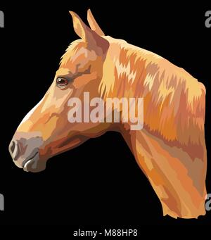 Colored portrait of sorrel horse. Horse head with long mane in profile isolated vector illustration on black background Stock Vector