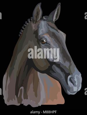 Colored portrait of Trakehner horse. Horse head in profile isolated vector illustration on black background Stock Vector