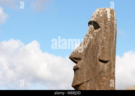 Moai head side view of one statue in Rano Raraku moai quarry on Easter Island, Chile Stock Photo