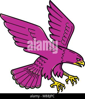 Mono line illustration of a peregrine falcon, Falco peregrinus, duck hawk, a widespread bird of prey in the family Falconidae that is bird-eating rapt Stock Vector