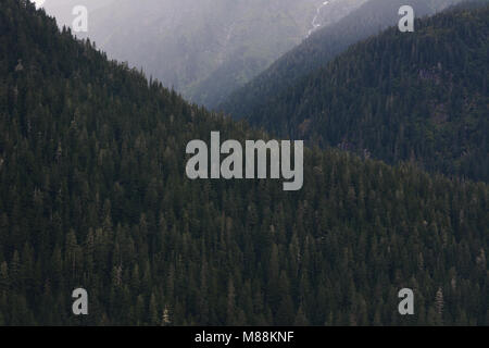 A remote mountainside and valley in the Tongass National Forest in southeast Alaska, USA, on the Pacific coast near the border with Canada. Stock Photo