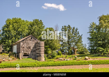 Weathered barn and silo against trees with beautiful green leaves and a blue sky Stock Photo