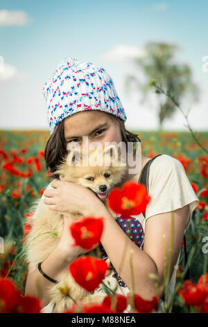 Happy young girl embraces her fluffy Pomeranian puppy in poppy field. Almaty region, Kazakhstan. Stock Photo