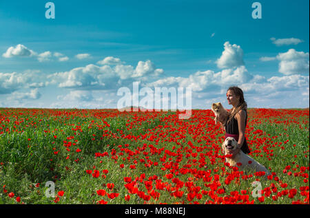 Girl with dreadlocks is walking with two lovely dogs in poppy field. Almaty region, Kazakhstan. Stock Photo