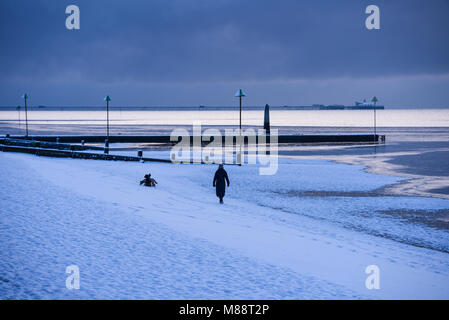 Female walking her dogs Chalkwell Beach during Beast from the East weather phenomenon with heavy snow and frozen foreshore. Southend Pier. Crow stone Stock Photo