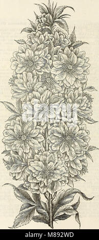 Ellwanger and Barry's descriptive catalogue of hardy ornamental trees and shrubs, roses, etc., etc., etc (1868) (21089441340)