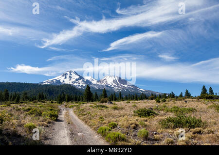 CA02861-00...CALIFORNIA - Bolam Road and Mount Shasta in the Mount Shasta National Forest. Stock Photo