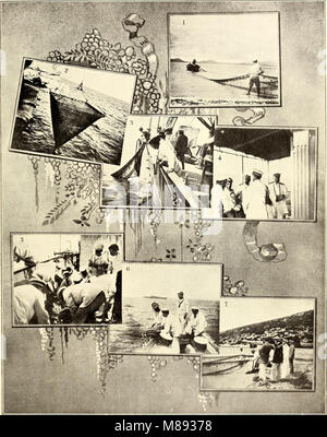 El Laboratorio biológico-marino de Porto Pí (Precedentes - fundación - primeros trabajos) (1916) (21277846041) Stock Photo