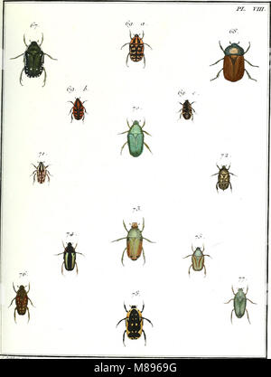 Genus Insect Characteristic This 1789 work on entomology provides detailed descriptions and ...